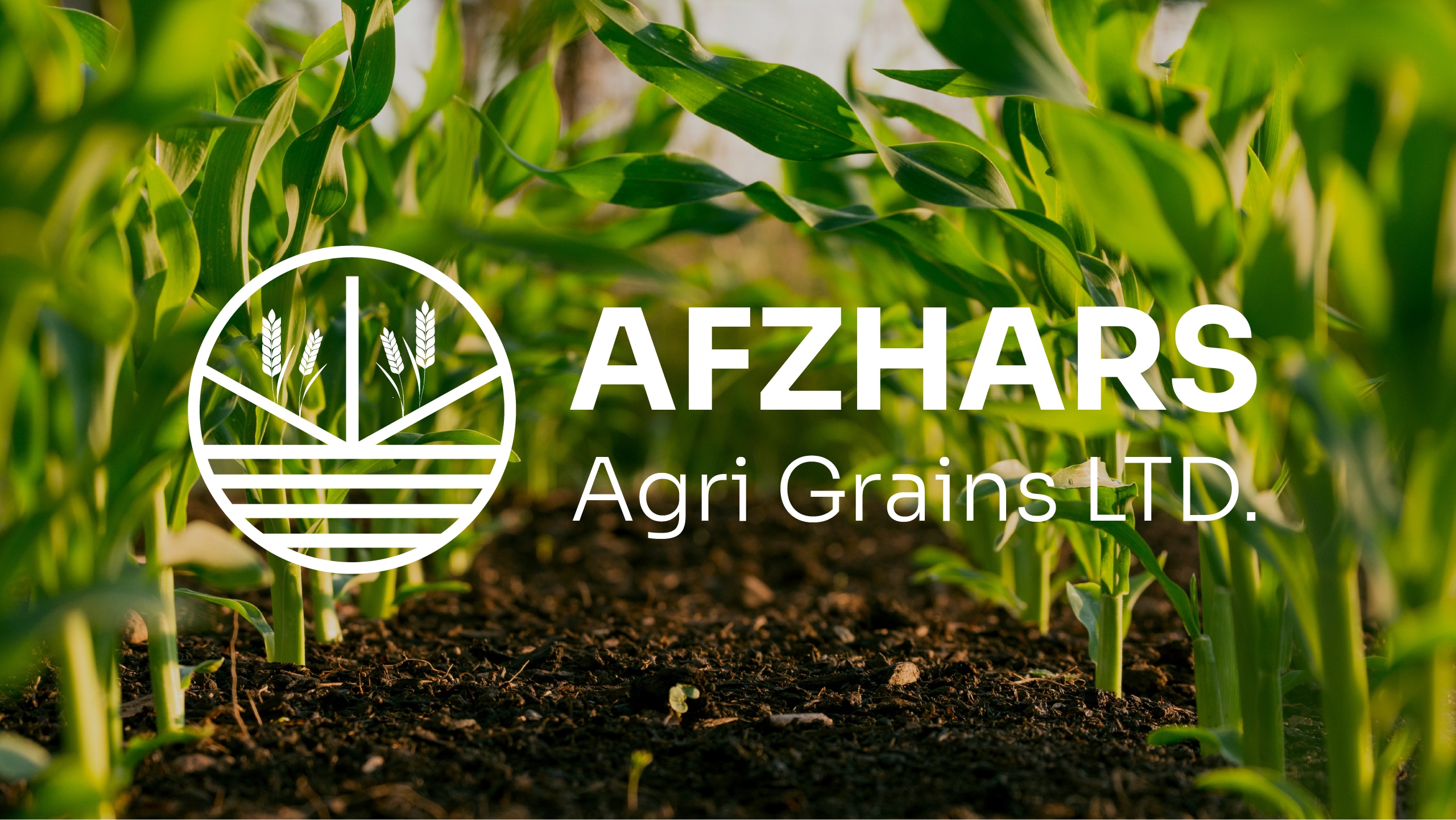 Afzhars Agri Grains
