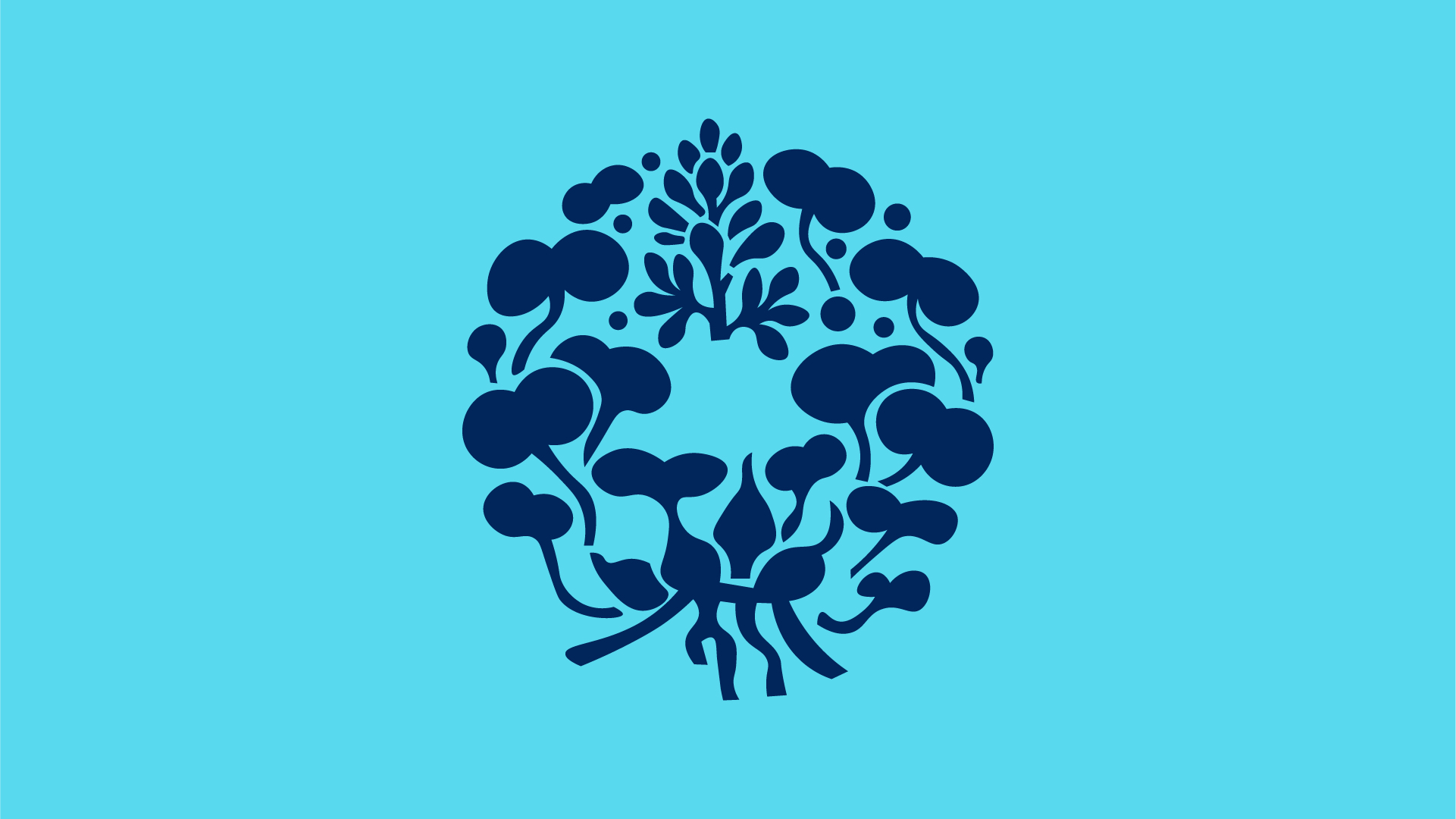 The Hyacinth Yarn Project