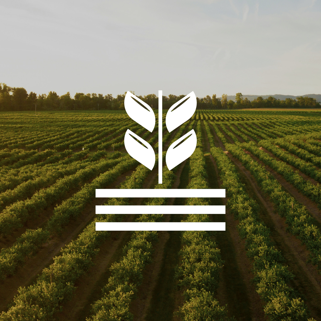 SAK Integrated Agri Solutions
